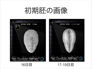 ߤλ
16Ŀ 17-19Ŀ
 