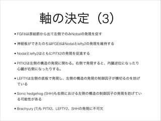 ? FGF8ԭYȤǤΤNobalΰkF٤
? U夬ǤΤFGE8Nodallefty2ΰkFS֤
? Nodallefty2ϤȤPITX2ΰkFM
? PITX2ȤΘΰkFv롣҂ȤǰkFȡĠλˤʤä
Ġ҂Ȥˤʤäꤹ롣
? LEFTYȤεװǰkFȤΘΰkFӤФΤ
Ƥ
? Sonic hedgehog (SHH)҂ȤˤȤΘӤΰkFƤ
Ԥ
? Brachyury (T) PITX2LEFTY2SHHΰkF˲Ƿ
SΛQ3
 