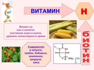 ВИТАМИН
Влияет на
сон и аппетит,
состояние кожи и волос,
уровень холестерина в крови

Содержится:
в капусте,
грибах, бобовых,
землянике,
кукурузе,
мясе

H

 
