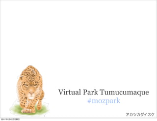 Virtual Park Tumucumaque
                         #mozpark

2011   1   17
 