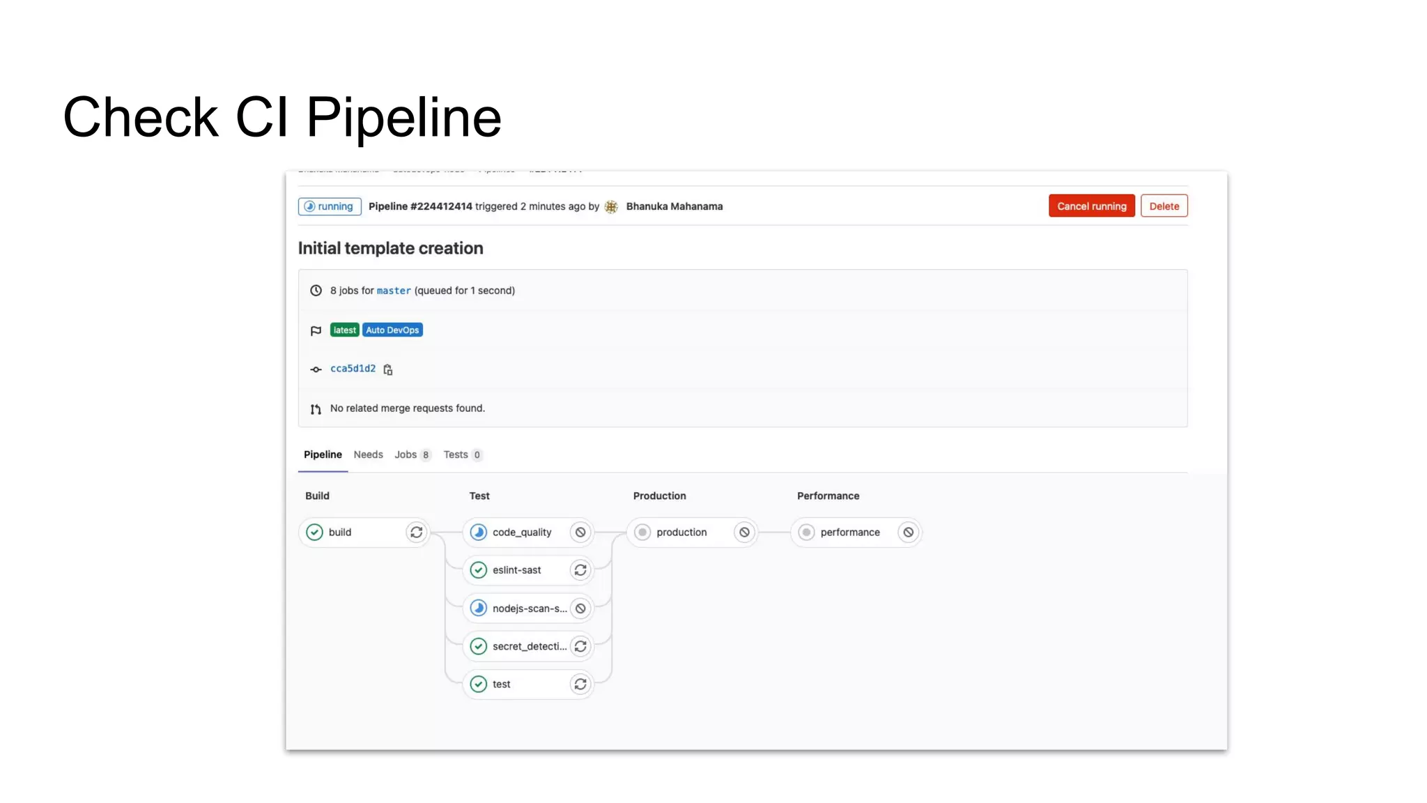 Check CI Pipeline 
