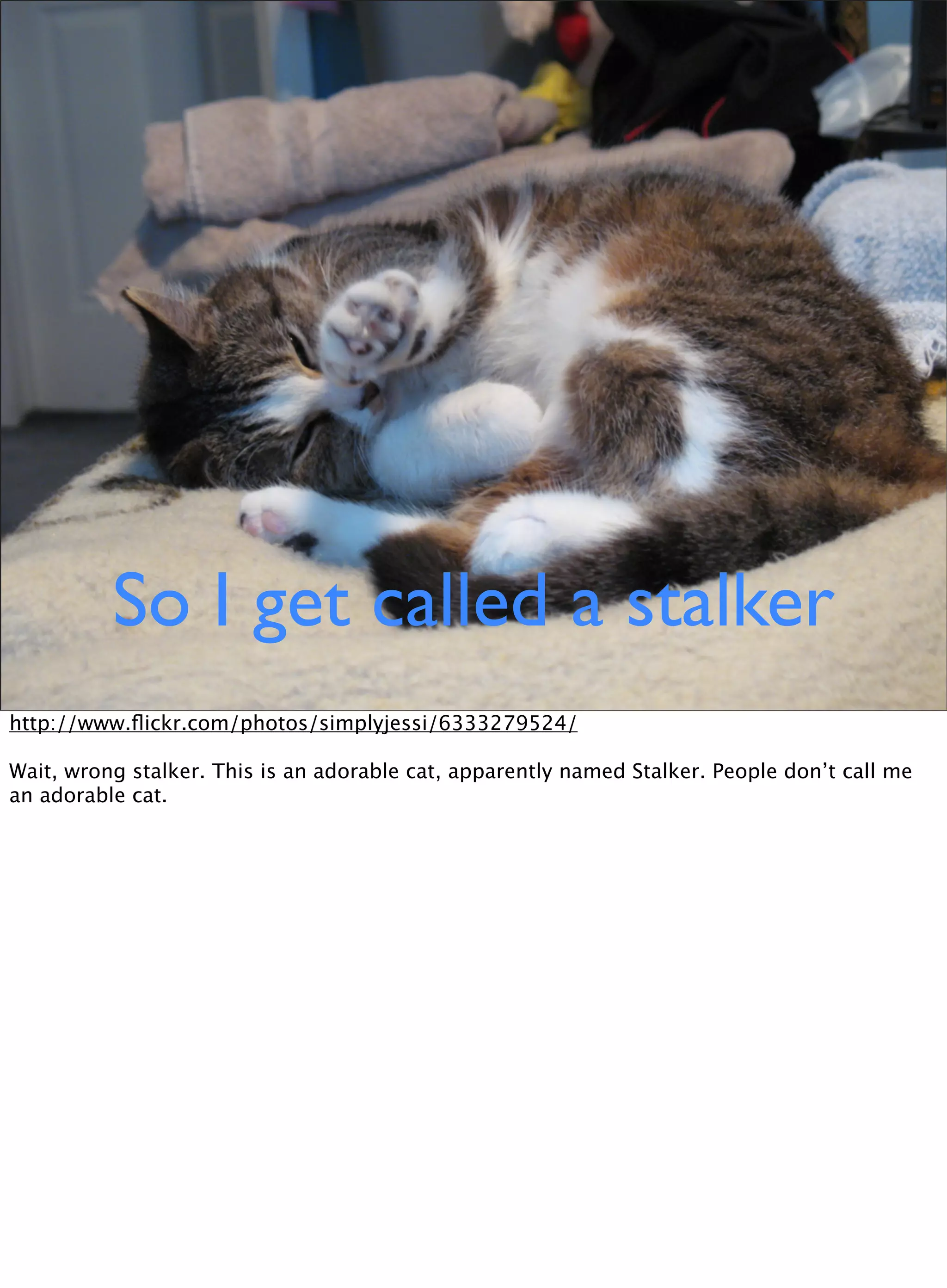 So I get called a stalker
http://www.ﬂickr.com/photos/simplyjessi/6333279524/
Wait, wrong stalker. This is an adorable cat, apparently named Stalker. People don’t call me
an adorable cat.
 