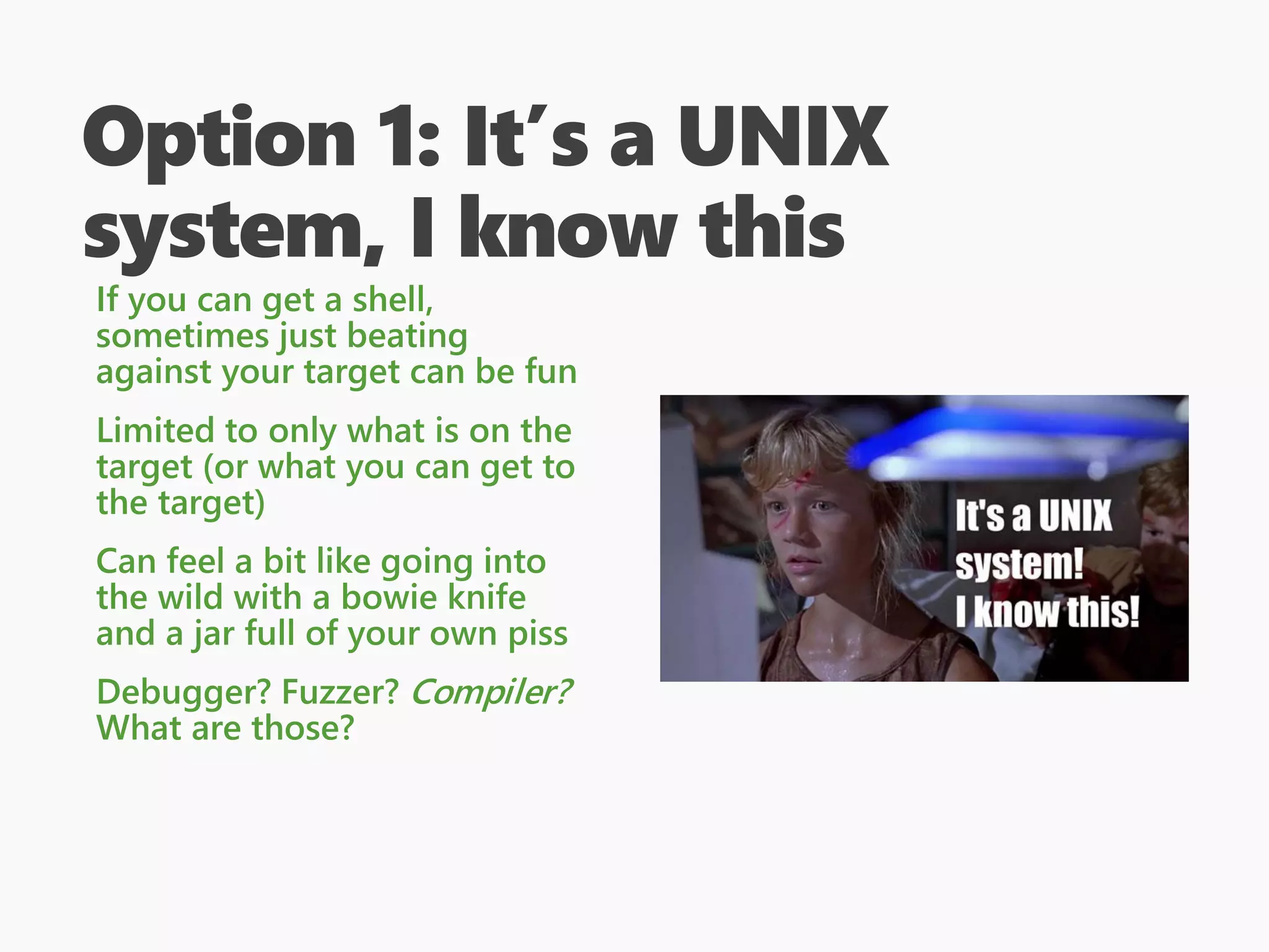 Option 1: It’s a UNIX
system, I know this
If you can get a shell,
sometimes just beating
against your target can be fun
Limited to only what is on the
target (or what you can get to
the target)
Can feel a bit like going into
the wild with a bowie knife
and a jar full of your own piss
Debugger? Fuzzer? Compiler?
What are those?
 