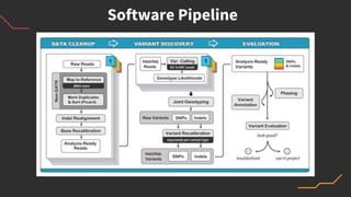 Software Pipeline
 