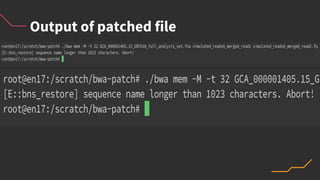 Output of patched file
 