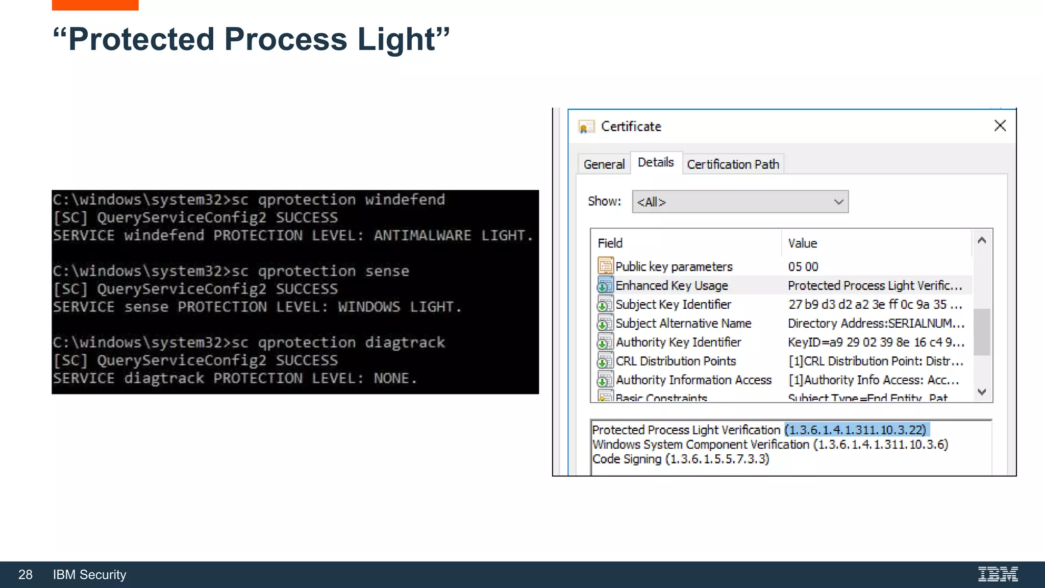 28 IBM Security
“Protected Process Light”
 