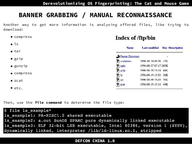 Derevolutionizing Os Fingerprinting The Cat And Mouse Game