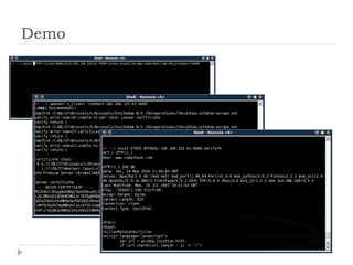 Defeating The Network Security Infrastructure  V1.0