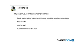 https://github.com/dustinkirkland/pollinate
Seeds startup entropy from another computer on boot to get things started faster.
Easy to install
good for VM’s
A good codebase to start from
 