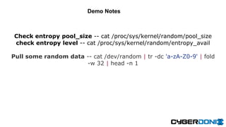 Check entropy pool_size -- cat /proc/sys/kernel/random/pool_size
check entropy level -- cat /proc/sys/kernel/random/entropy_avail
Pull some random data -- cat /dev/random | tr -dc 'a-zA-Z0-9' | fold
-w 32 | head -n 1
Demo Notes
 