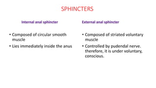 Defecation..( the guyton and hall physiology) | PPTX