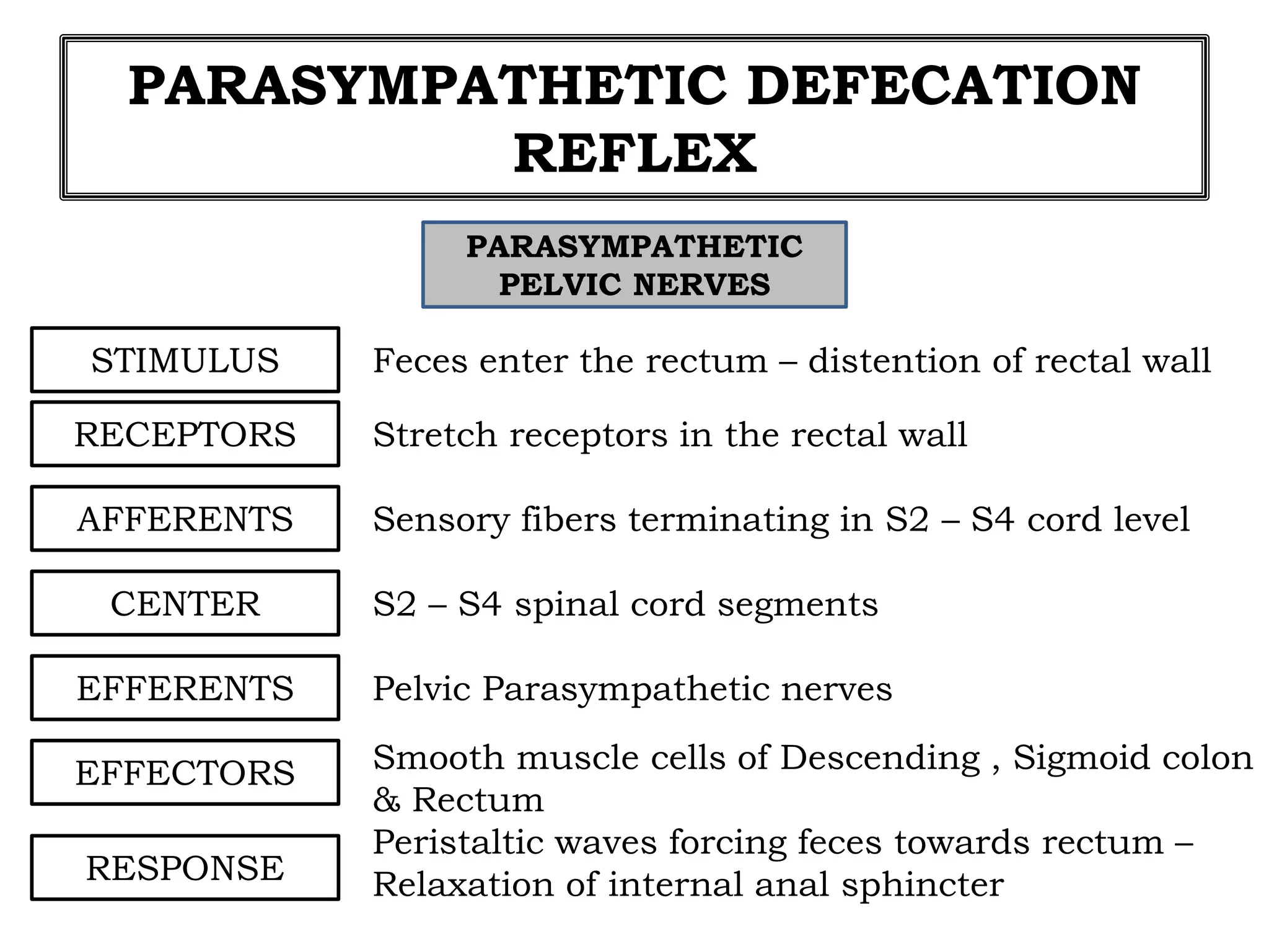 PARASYMPATHETIC DEFECATION
REFLEX
PARASYMPATHETIC
PELVIC NERVES
STIMULUS Feces enter the rectum – distention of rectal wall
RECEPTORS Stretch receptors in the rectal wall
AFFERENTS Sensory fibers terminating in S2 – S4 cord level
CENTER
EFFERENTS
EFFECTORS
RESPONSE
S2 – S4 spinal cord segments
Smooth muscle cells of Descending , Sigmoid colon
& Rectum
Pelvic Parasympathetic nerves
Peristaltic waves forcing feces towards rectum –
Relaxation of internal anal sphincter
 