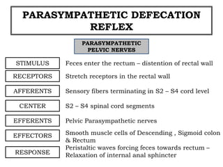 PARASYMPATHETIC DEFECATION
REFLEX
PARASYMPATHETIC
PELVIC NERVES
STIMULUS Feces enter the rectum – distention of rectal wall
RECEPTORS Stretch receptors in the rectal wall
AFFERENTS Sensory fibers terminating in S2 – S4 cord level
CENTER
EFFERENTS
EFFECTORS
RESPONSE
S2 – S4 spinal cord segments
Smooth muscle cells of Descending , Sigmoid colon
& Rectum
Pelvic Parasympathetic nerves
Peristaltic waves forcing feces towards rectum –
Relaxation of internal anal sphincter
 