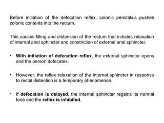 Comprehensive Overview of Large Intestine Physiology and Defecation ...