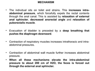 Comprehensive Overview of Large Intestine Physiology and Defecation ...