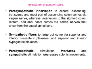 Comprehensive Overview of Large Intestine Physiology and Defecation ...