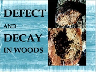 DEFECT 
AND 
DECAY 
IN WOODS 
 
