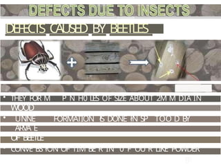 Defect in wood and Timber and it's solution.pptx