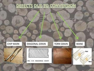 Defect in wood and Timber and it's solution.pptx