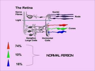 Defective Colour Vision 1 | PPT