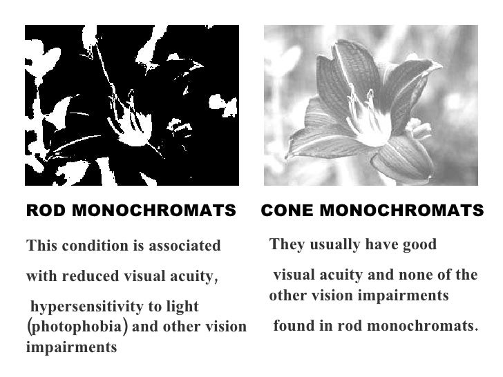 Defective Colour Vision 1