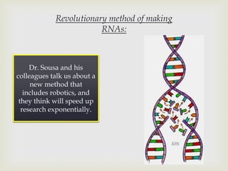 Revolutionary method of making
RNAs:
Dr. Sousa and his
colleagues talk us about a
new method that
includes robotics, and
they think will speed up
research exponentially.
 