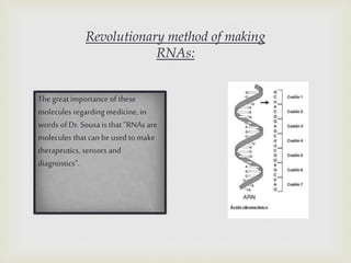 Revolutionary method of making
RNAs:
The great importance of these
molecules regarding medicine, in
words of Dr. Sousa is that “RNAs are
molecules that can be used to make
therapeutics, sensors and
diagnostics”.
 