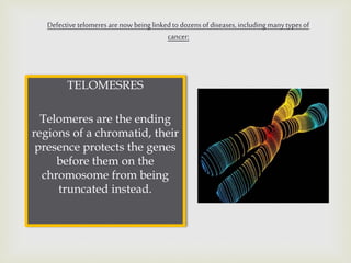 TELOMESRES
Telomeres are the ending
regions of a chromatid, their
presence protects the genes
before them on the
chromosome from being
truncated instead.
Defectivetelomeres arenowbeing linkedto dozensofdiseases,including manytypesof
cancer:
 