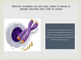 Theresearchersinvestigate telomeres, this
structuresare being linkedto diseases like
cancer, this show us the great importance of
telomeres and their function in the prevalence
of the chromosome structure.
 