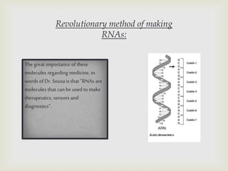 Revolutionary method of making
RNAs:
The great importance of these
molecules regarding medicine, in
words of Dr. Sousa is ...