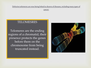 TELOMESRES
Telomeres are the ending
regions of a chromatid, their
presence protects the genes
before them on the
chromosom...