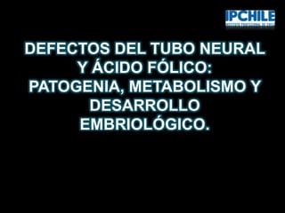 DEFECTOS DEL TUBO NEURAL
Y ÁCIDO FÓLICO:
PATOGENIA, METABOLISMO Y
DESARROLLO
EMBRIOLÓGICO.

 