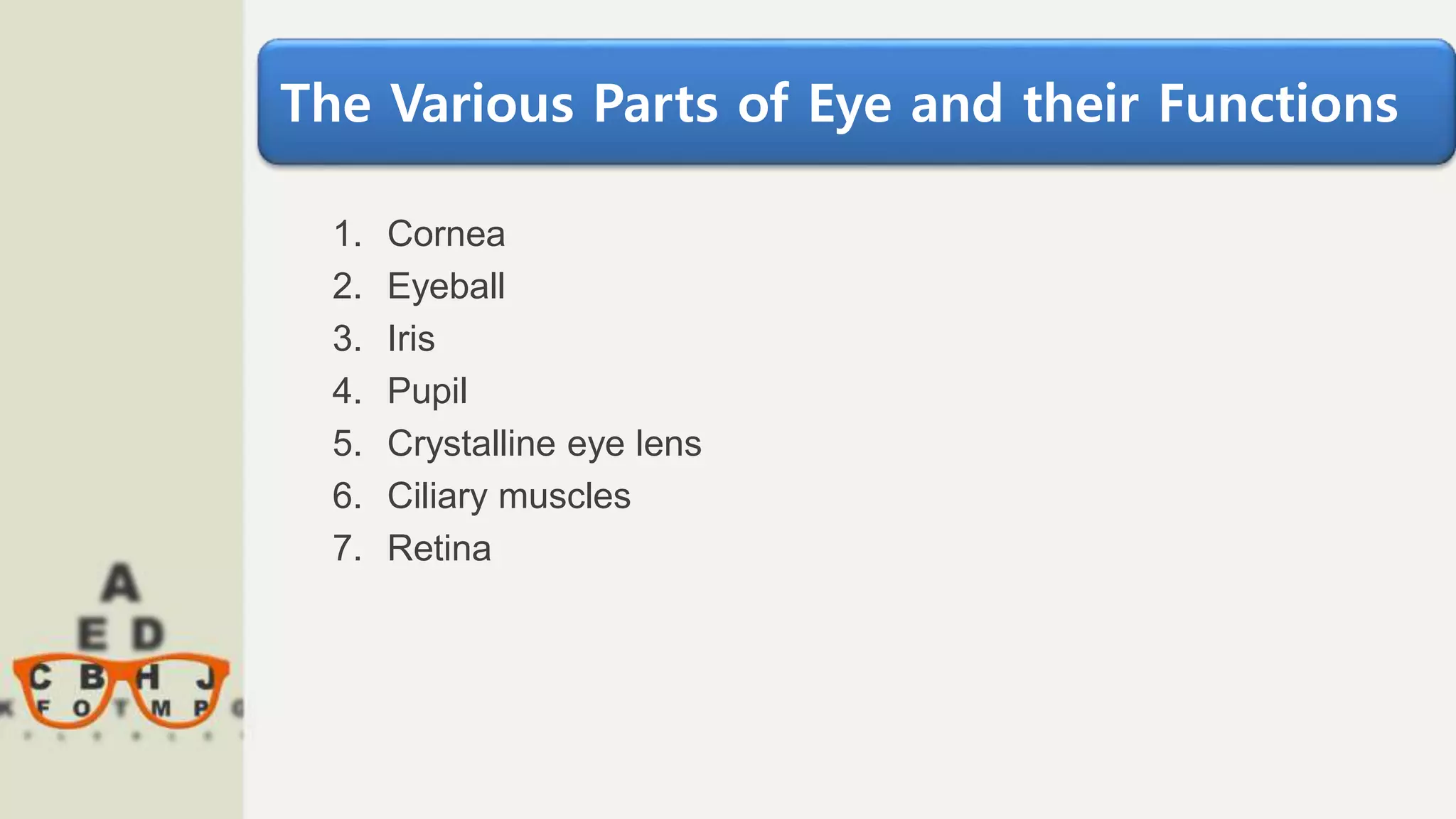 The Various Parts of Eye and their Functions
1. Cornea
2. Eyeball
3. Iris
4. Pupil
5. Crystalline eye lens
6. Ciliary muscles
7. Retina
 