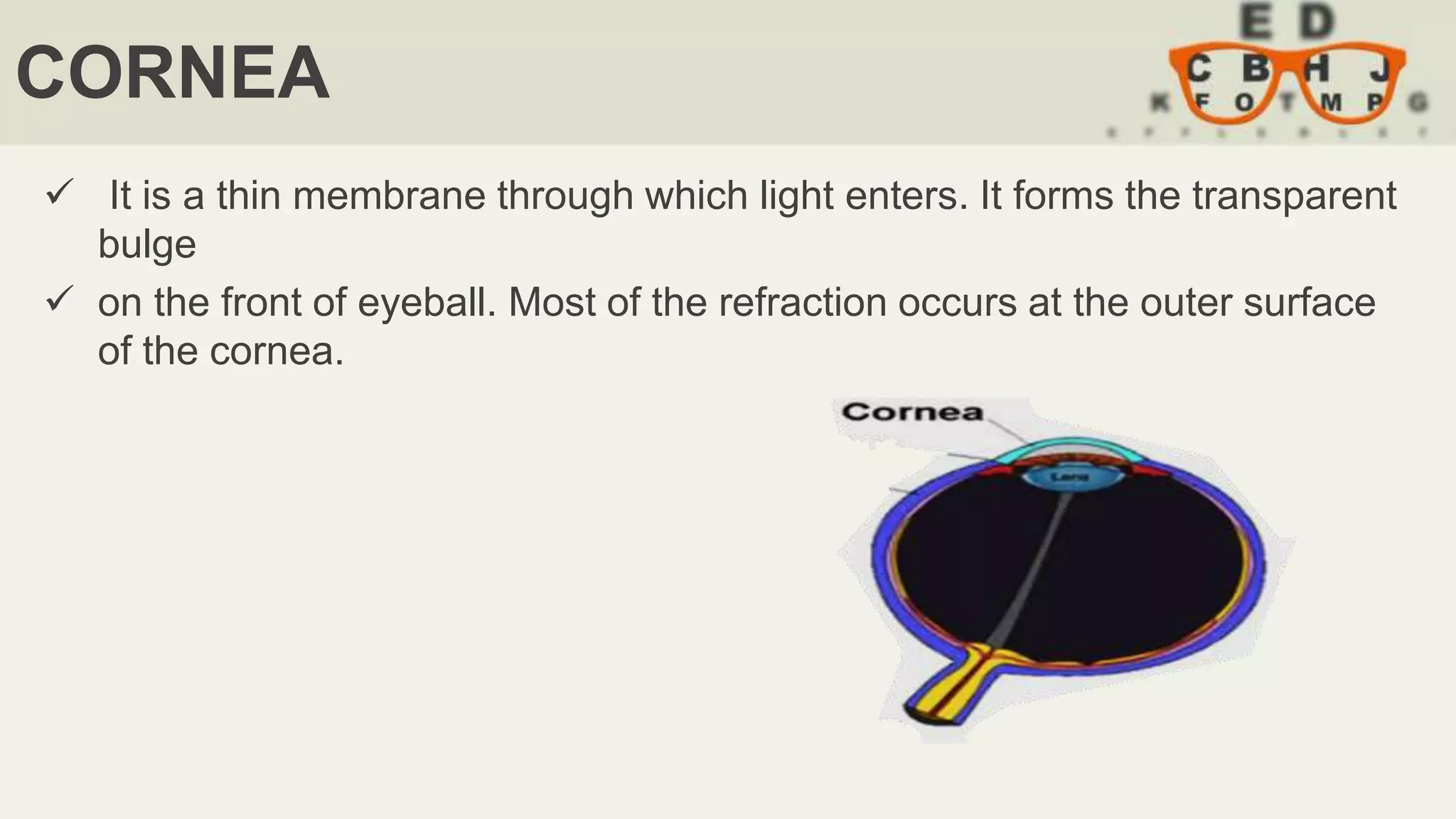CORNEA
 It is a thin membrane through which light enters. It forms the transparent
bulge
 on the front of eyeball. Most of the refraction occurs at the outer surface
of the cornea.
 