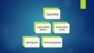 Espina Bífida
Espina bífida
quística
Meningocele Mielomeningocele
Espina bífida
oculta
 