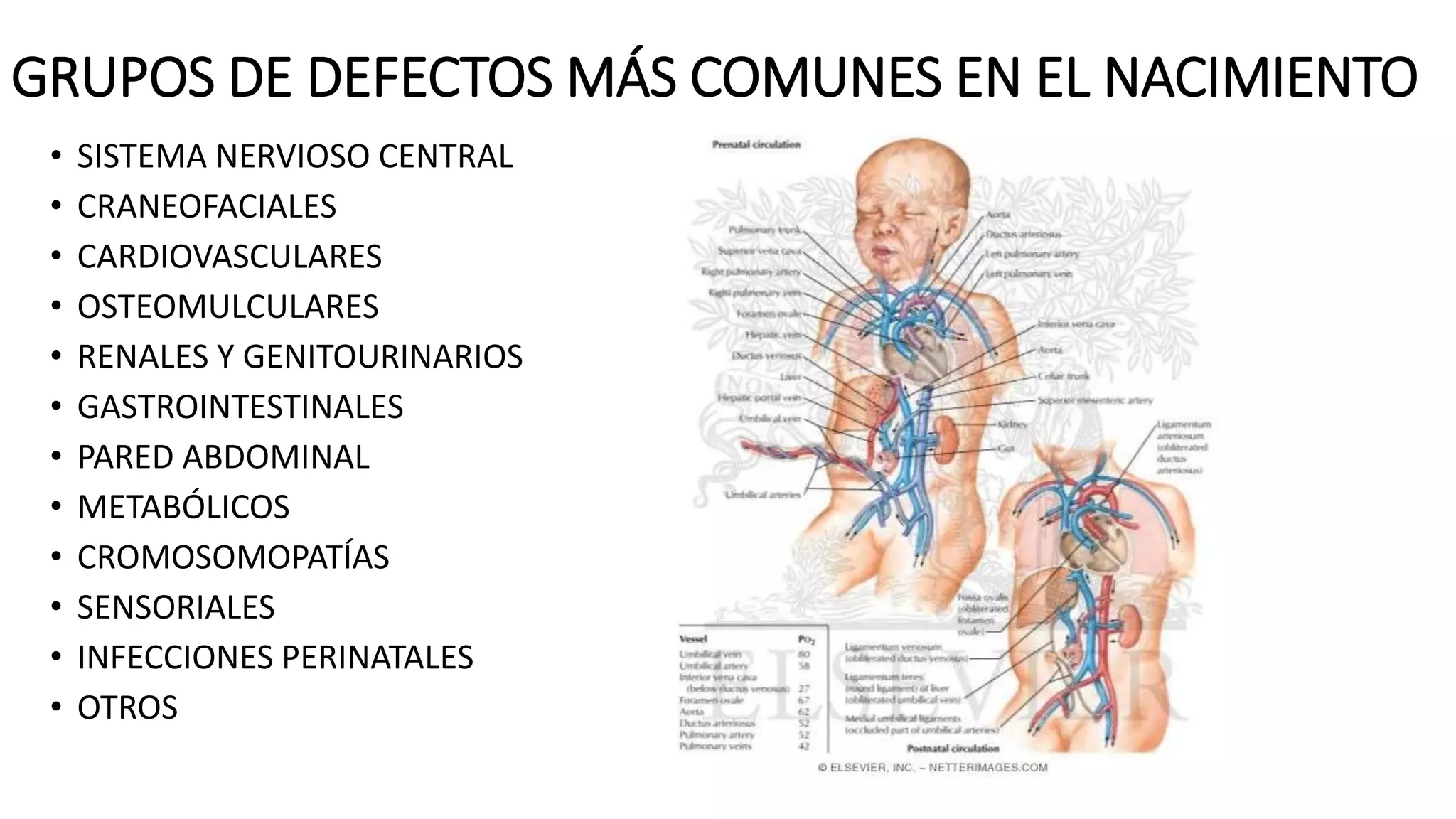 Defectos Al Nacimiento PPT defectos-al-nacimiento-ppt