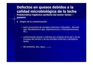 Defectos en quesos debidos a la
calidad microbiológica de la leche
Problemática higiénico sanitaria del sector lácteo –
quesero
Origen de la contaminaciOrigen de la contaminacióónn::
–– leche proveniente de animales enfermos o infectados :leche proveniente de animales enfermos o infectados : BrucellaBrucella
spp, Mycobacterium spp, Staphylococcusspp, Mycobacterium spp, Staphylococcus yy EnterobacteriaceaeEnterobacteriaceae,,
etc.;etc.;
–– contaminacicontaminacióón directa o indirecta por contacto de la piel y de lasn directa o indirecta por contacto de la piel y de las
mucosas del hombre y de los animales enfermos o portadoresmucosas del hombre y de los animales enfermos o portadores
sanos;sanos;
–– del ambiente, aire, agua...........del ambiente, aire, agua...........
 