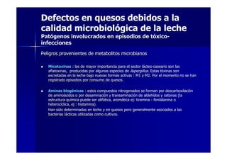Defectos en quesos debidos a la
calidad microbiológica de la leche
Patógenos involucrados en episodios de tóxico-
infecciones
Peligros provenientes de metabolitos microbianosPeligros provenientes de metabolitos microbianos
MicotoxinasMicotoxinas : las de mayor importancia para el sector l: las de mayor importancia para el sector láácteocteo--caseario son lascaseario son las
aflatoxinas, producidas por algunas especies deaflatoxinas, producidas por algunas especies de AspergillusAspergillus. Estas t. Estas tóóxinas sonxinas son
excretadas en la leche bajo nuevas formas activas : M1 y M2. Porexcretadas en la leche bajo nuevas formas activas : M1 y M2. Por el momento no se hanel momento no se han
registrado episodios por consumo de quesos.registrado episodios por consumo de quesos.
Aminas biogAminas biogéénicasnicas : estos compuestos nitrogenados se forman por descarboxilaci: estos compuestos nitrogenados se forman por descarboxilacióónn
de aminode aminoáácidos o por desaminacicidos o por desaminacióón y transaminacin y transaminacióón de aldehn de aldehíídos y cetonas (lados y cetonas (la
estructura questructura quíímica puede ser alifmica puede ser alifáática, aromtica, aromáática ej: tiraminatica ej: tiramina -- fenilalanina ofenilalanina o
heterocheterocííclica, ej : histamina).clica, ej : histamina).
Han sido determinadas en leche y en quesos pero generalmente asoHan sido determinadas en leche y en quesos pero generalmente asociados a lasciados a las
bacterias lbacterias láácticas utilizadas como cultivos.cticas utilizadas como cultivos.
 