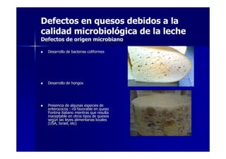 Defectos en quesos debidos a la
calidad microbiológica de la leche
Defectos de origen microbiano
Desarrollo de bacterias coliformesDesarrollo de bacterias coliformes
Desarrollo de hongosDesarrollo de hongos
Presencia de algunas especies dePresencia de algunas especies de
enterococos : rol favorable en quesoenterococos : rol favorable en queso
Fontina italiano mientras que resultaFontina italiano mientras que resulta
inaceptable en otros tipos de quesosinaceptable en otros tipos de quesos
segsegúún las leyes alimentarias localesn las leyes alimentarias locales
(USA, Israel, etc)(USA, Israel, etc)
 