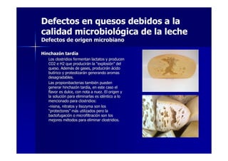 Defectos en quesos debidos a la
calidad microbiológica de la leche
Defectos de origen microbiano
HinchazHinchazóón tardn tardííaa
Los clostridios fermentan lactatos y producenLos clostridios fermentan lactatos y producen
CO2 e H2 que producirCO2 e H2 que produciráán lan la ““explosiexplosióónn”” deldel
queso. Ademqueso. Ademáás de gases, producirs de gases, produciráánn áácidocido
butbutíírico y proteolizarrico y proteolizaráán generando aromasn generando aromas
desagradables.desagradables.
Las propionibacterias tambiLas propionibacterias tambiéén puedenn pueden
generar hinchazgenerar hinchazóón tardn tardíía, en este caso ela, en este caso el
flavor es dulce, con nota a nuez. El origen yflavor es dulce, con nota a nuez. El origen y
la solucila solucióón para eliminarlas es idn para eliminarlas es idééntico a lontico a lo
mencionado para clostridios:mencionado para clostridios:
--nisina, nitratos y lisozyma son losnisina, nitratos y lisozyma son los
““protectoresprotectores”” mmáás utilizados pero las utilizados pero la
bactofugacibactofugacióón o microfiltracin o microfiltracióón son losn son los
mejores mmejores méétodos para eliminar clostridios.todos para eliminar clostridios.
 