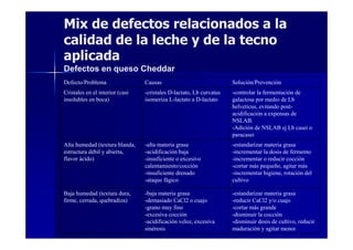 Mix de defectos relacionados a la
calidad de la leche y de la tecno
aplicada
Defectos en queso Cheddar
-estandarizar materia grasa
-reducir CaCl2 y/o cuajo
-cortar más grande
-disminuir la cocción
-disminuir dosis de cultivo, reducir
maduración y agitar menor
-baja materia grasa
-demasiado CaCl2 o cuajo
-grano muy fino
-excesiva cocción
-acidificación veloz, excesiva
sinéresis
Baja humedad (textura dura,
firme, cerrada, quebradiza)
-estandarizar materia grasa
-incrementar la dosis de fermento
-incrementar o reducir cocción
-cortar más pequeño, agitar más
-incrementar higiene, rotación del
cultivo
-alta materia grasa
-acidificación baja
-insuficiente o excesivo
calentamiento/cocción
-insuficiente drenado
-ataque fágico
Alta humedad (textura blanda,
estructura débil y abierta,
flavor ácido)
-controlar la fermentación de
galactosa por medio de Lb
helveticus, evitando post-
acidificación a expensas de
NSLAB.
-Adición de NSLAB ej Lb casei o
paracasei
-cristales D-lactato, Lb curvatus
isomeriza L-lactato a D-lactato
Cristales en el interior (casi
insolubles en boca)
Solución/PrevenciónCausasDefecto/Problema
 