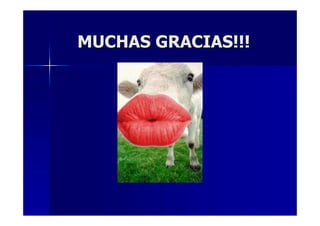 MUCHAS GRACIAS!!!MUCHAS GRACIAS!!!
 