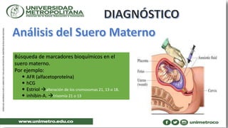 Búsqueda de marcadores bioquímicos en el
suero materno.
Por ejemplo:
 AFR (alfacetoproteína)
 hCG
 Estriol alteración de los cromosomas 21, 13 o 18.
 inhibin-A. trisomía 21 o 13
 