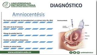 Se inserta una aguja por vía transabdominal y se extraen entre 20 y 30ml
No antes de las 14 semanas
Riesgo de pérdida fetal 1%
Análisis de marcadores bioquímicos
Análisis de células fetales
 
