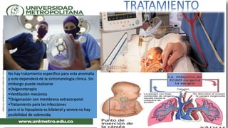 No hay tratamiento específico para esta anomalía
y este dependerá de la sintomatologia clínica. Sin
embargo puede realizarse
•Oxígenoterapia
•Ventilación mecánica
*Oxigenación con membrana extracorporal
•Tratamiento para las infecciones
pero si la hipoplasia es bilateral y severa no hay
posibilidad de sobrevida.
 