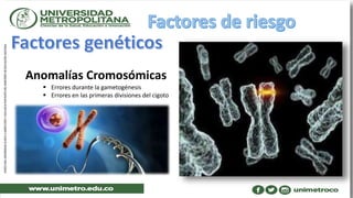 Anomalías Cromosómicas
 Errores durante la gametogénesis
 Errores en las primeras divisiones del cigoto
 