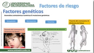 Anomalías cromosómicas numéricas O mutaciones genómicas
Aneuploidía Monosomías
Trisomías
Trisomía del cromosoma 21
(Síndrome de Down)
Trisomía del cromosoma 18 (Síndrome de Edwards)
Trisomía del cromosoma 13
(Síndrome de Patau)
 