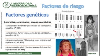 Anomalías cromosómicas sexuales numéricas
oSíndrome de Klinefelter (trisomía de los cromosomas
sexuales: 47, XXY).
oSíndrome de Turner (monosomía de los cromosomas
sexuales: 45, X).
oSíndrome del doble Y (llamado a veces síndrome del
supermacho: 47, XYY).
oSíndrome del triple X (llamado a veces síndrome de la
superhembra: 47, XXX).
 