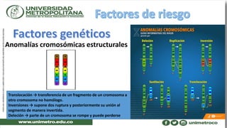 Anomalías cromosómicas estructurales
Translocación → transferencia de un fragmento de un cromosoma a
otro cromosoma no homólogo.
Inversiones → supone dos ruptura y posteriormente su unión al
segmento de manera invertida.
Deleción → parte de un cromosoma se rompe y puede perderse
 