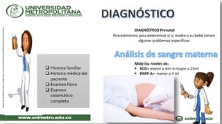 Historia familiar
 •Historia médica del
paciente
 •Examen físico
 •Examen
sistemático
completo
DIAGNÓSTICO Prenatal
Procedimiento para determinar si la madre o su bebé tienen
algunos problemas específicos
Mide los niveles de;
 hCG= menor a 4ml ó mayor a 25ml
 PAPP-A= menor a 4 ml
 